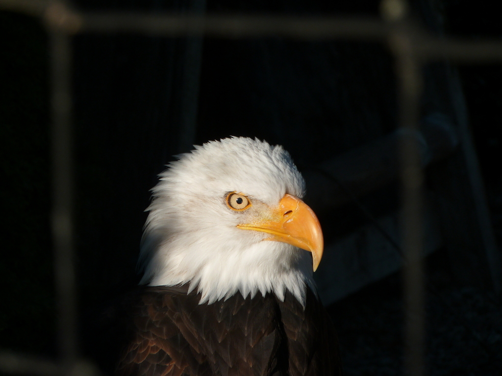 No s'ha trobat l'arxiu